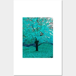 Trees of Aqua Blue Posters and Art